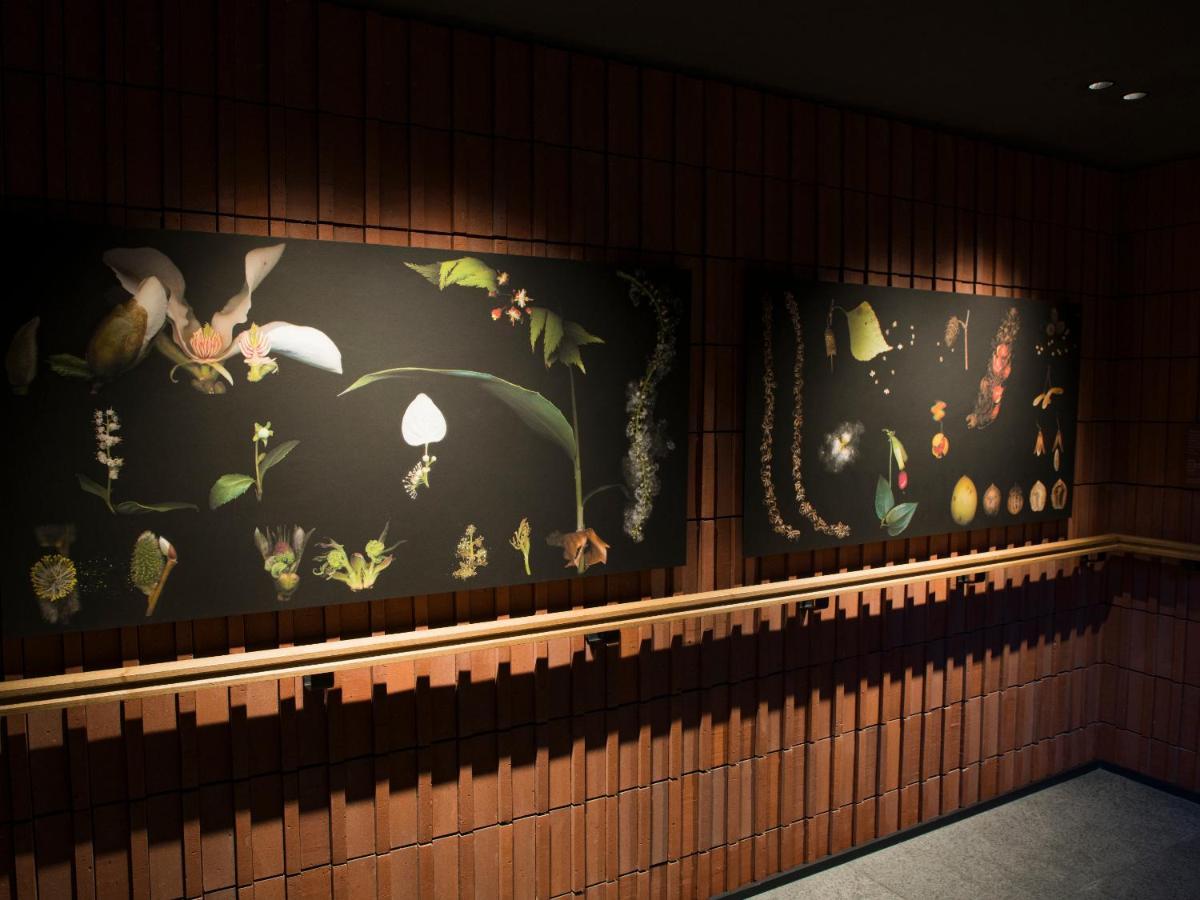 Hotel The Knot Sapporo Esterno foto